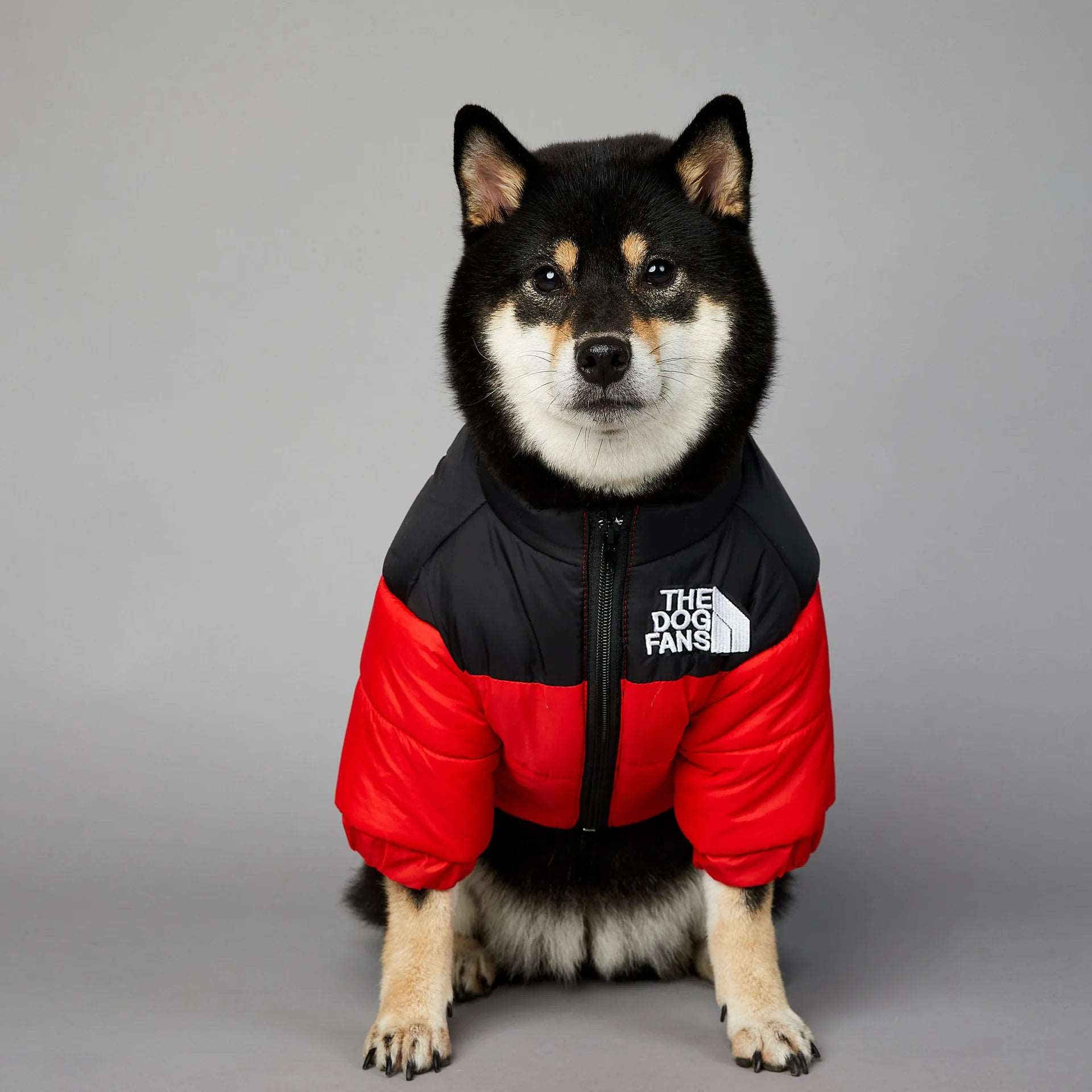 "The Dog Face" veste hiver pour chien toutes tailles - The Dog Face